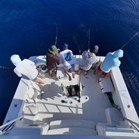 Charter Fishing: half and full day from $1,600.00